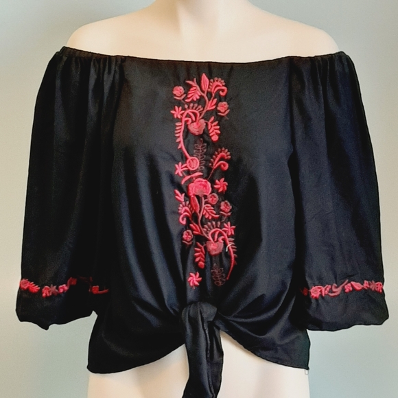 🅱️🅾️G🅾️ Zara red floral embroidery black cotton blouse - Picture 2 of 6